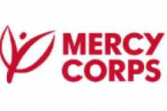 Clusters Animated Videos for Mercy Corps